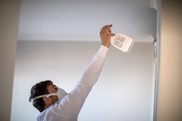 Best Home Mold Removal  in St Clairsville, OH