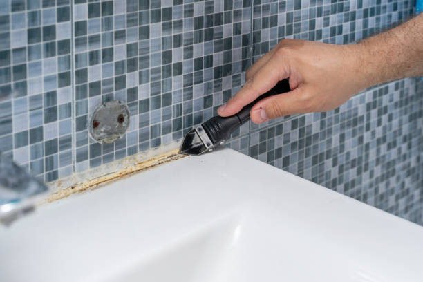 Best Mold Removal Near Me  in St Clairsville, OH